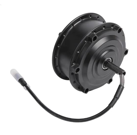 Kedy je potrebné udržiavať alebo vymeniť motor E-Bike Motor?